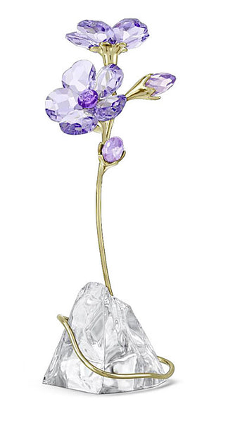 Swarovski - Florere Rozanne