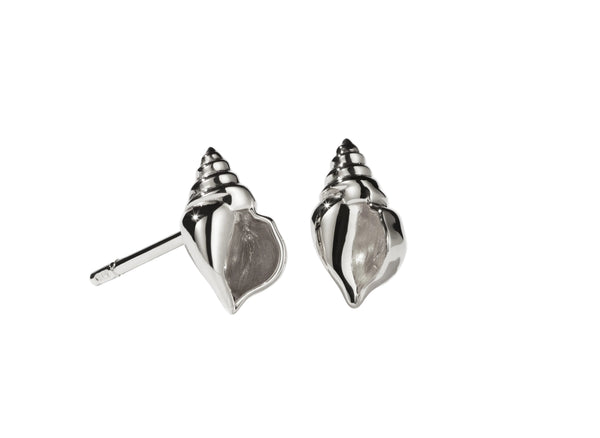 Meadowlark - Conch Stud Earrings Silver