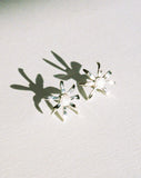 Meadowlark - Daisy Earrings Medium Sterling Silver