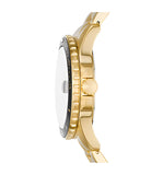 Fossil - Gold & Black Dive Three-Hand Date Watch