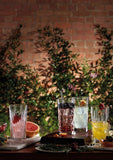 Waterford - Gin Journey Mixed Hi Ball Set Of 4