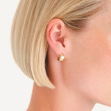 Rosefield Jewellery - Small Wide Hoops Gold Plated