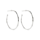 Najo - Bamboo Large Stud Hoop Earring